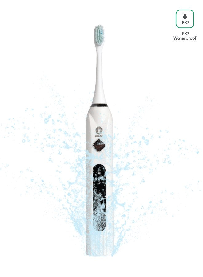 Green Lion Electric Toothrush Blue